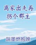 离家出走by