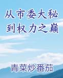 从市委大秘到权力之巅的小说