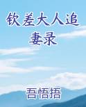 钦差大人追妻录
