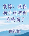 震惊：我在新手村苟到系统崩了