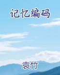 记忆编码