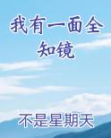 我有一面全知镜原著小说