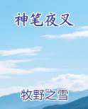 神笔夜叉笔趣阁